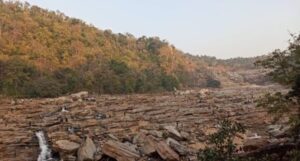 TAMASIN JALPRAPAT