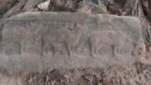 MADHANIYA